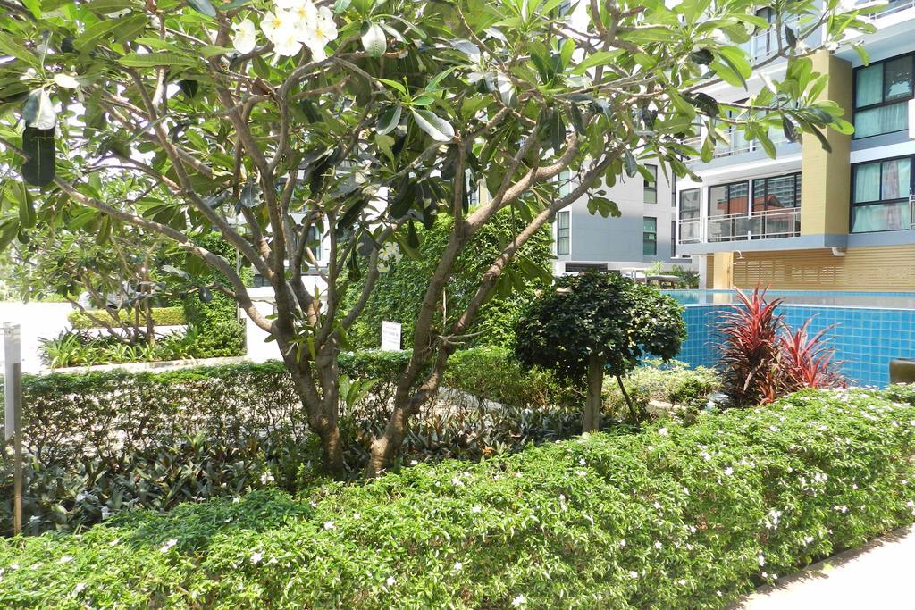 Neocondo @ Pattaya Jomtien Beach Zewnętrze zdjęcie